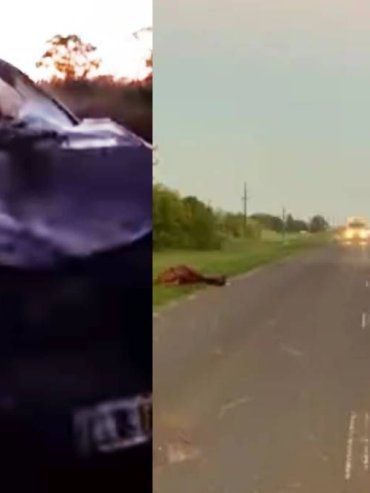 Un auto chocó un caballo en la Ruta 12 y cinco personas resultaron ilesas