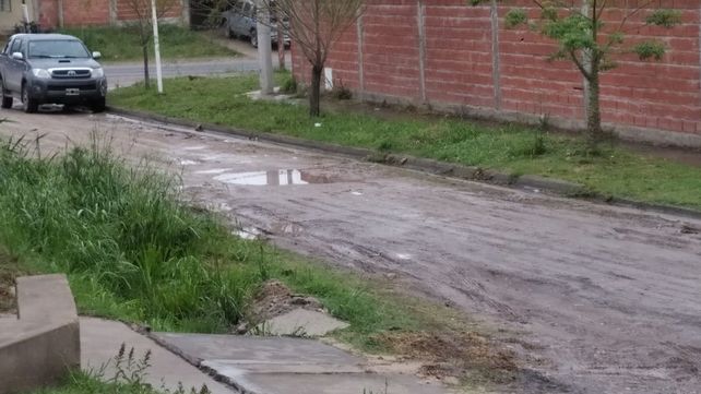 Piden fumigaciones en barrio Los Paraísos