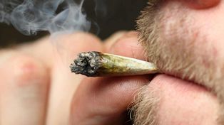 Comprueban que consumir marihuana previene trastornos de ansiedad y depresión