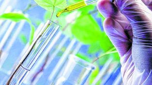 Bioeconomía