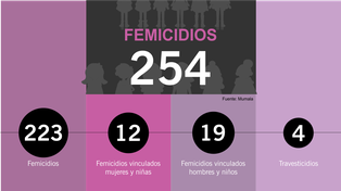 Hubo 254 femicidios en casi once meses
