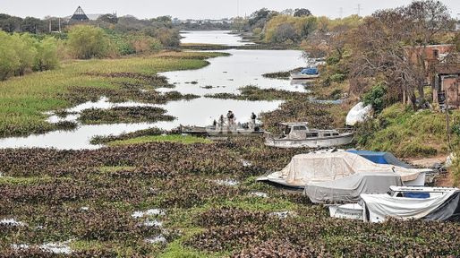 Laguna Setúbal: el operativo de limpieza llegó al Riacho Santa Fe y encontró grandes embalsados que dificultaron el avance de las tareas