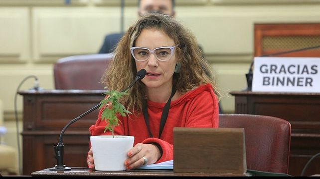 Diputadas provinciales exhibieron en sus bancas plantitas de marihuana y se disparó la polémica