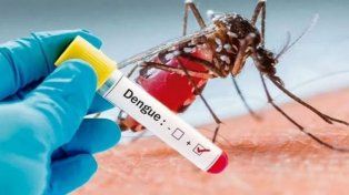 Autoridades santiarias piden que quienes ya tuvieron dengue intensifiquen cuidados.&nbsp;
