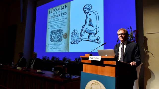 El miembro del comité Patrik Ernfors explica el Premio Nobel 2021 en Fisiología o Medicina.