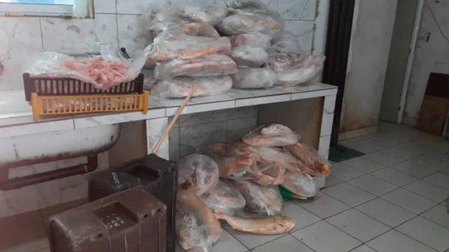 Decomisan en Diamante casi una tonelada de pescado y lo sepultaron