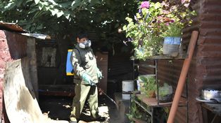 El descacharrado y limpieza de patios y jardines, como medida para evitar la reproducción del vector.