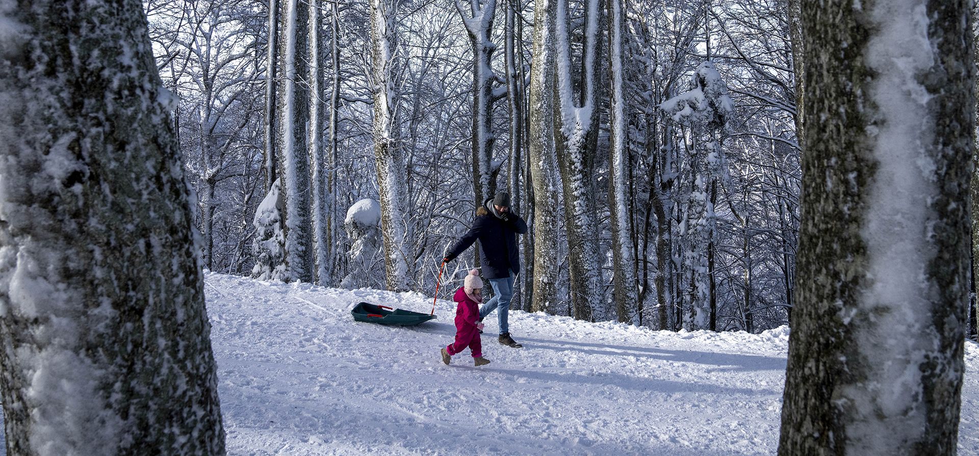 Un hombre con un niño tira de un trineo a través de la nieve en el monte Sljeme, en las afueras de Zagreb, Croacia, el lunes 30 de enero de 2023. (Foto AP/Darko Bandic)