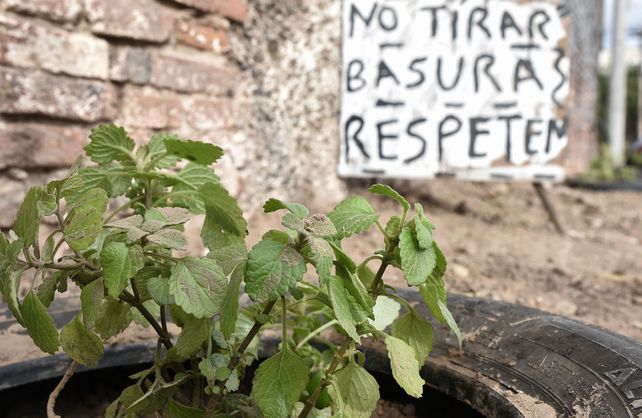 Los microbasurales certificados en la capital provincial son m&aacute;s de 200 y