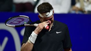 El tenista tandilense Juan Martín Del Potro no jugará la semana próxima el ATP 500 de Río de Janeiro.&nbsp;