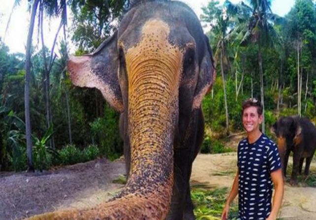 Un elefante robó una cámara y se tomó un selfie