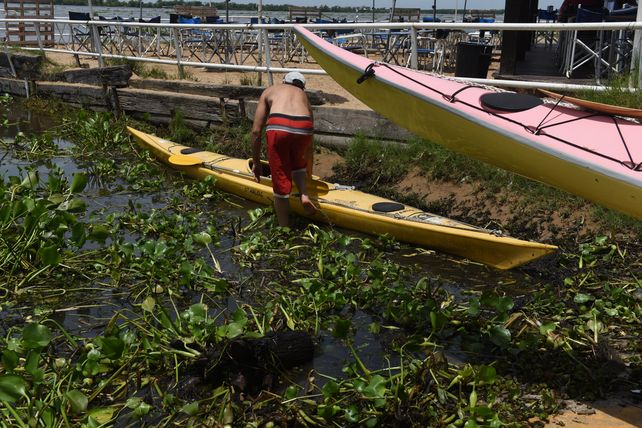 A pesar de los consejos