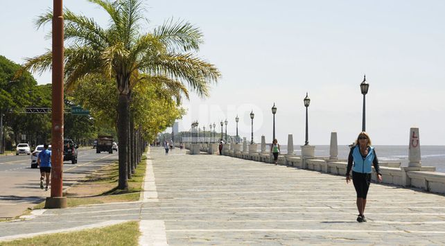 Imagen ilustrativa.// Foto: José Busiemi