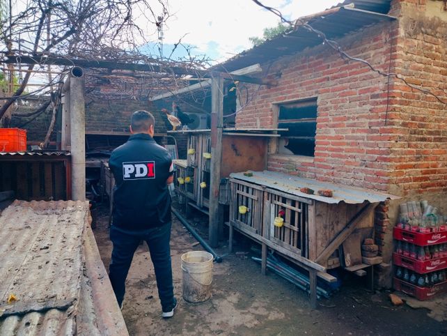 Golpe al microtráfico en Bº Villa Hipódromo: cocaína