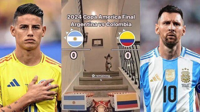 Qué predijo el perro viral sobre la final de la Copa América entre Argentina y Colombia Qué predijo el perro viral sobre la final de la Copa América entre Argentina y Colombia