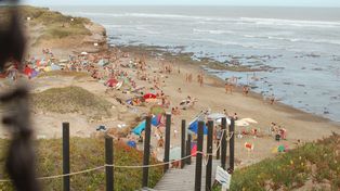 La playa nudista de Mar del Plata: dónde es, cuánto cuesta y cuáles son las reglas para entrar