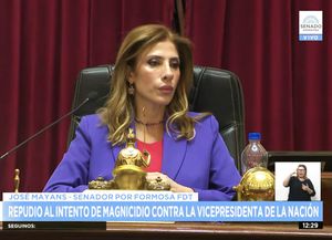 Senado: realizan sesión especial por el atentado a Cristina Fernández