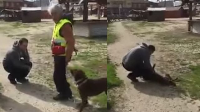 Así reaccionó una perrita al reencontrarse con su dueño tres años después