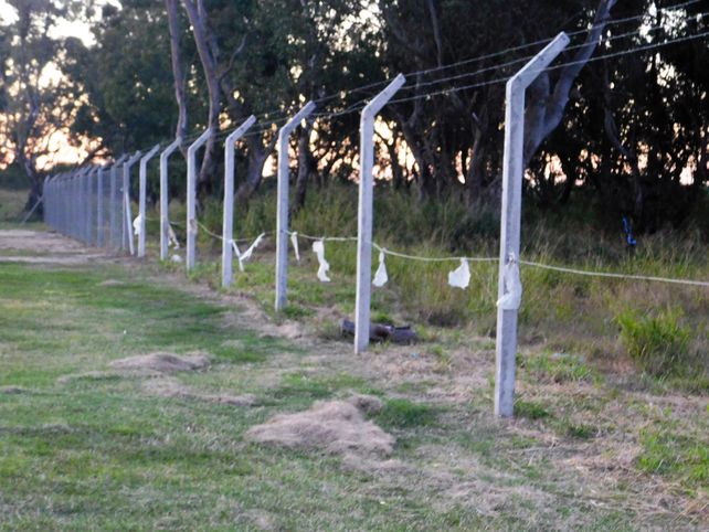 Los dirigentes del Tibur&oacute;n mostraron su malestar por este hecho delictivo.