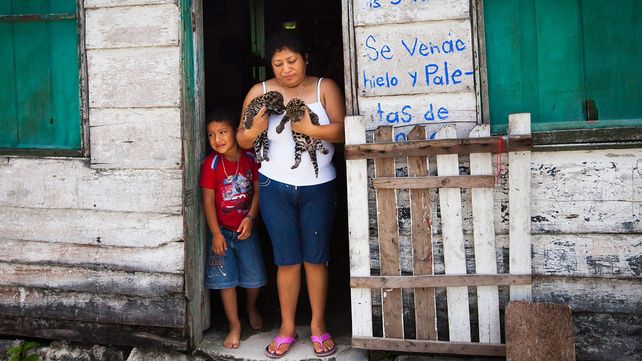 Imágenes ganadoras del premio Fotógrafo de Vida Silvestre 2018