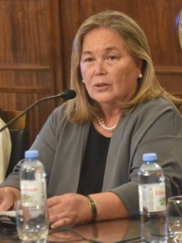 Juicio político a Susana Medina: ONG defiende su presentación y niega motivaciones políticas