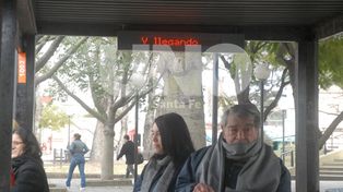 La ciudad tendría paradas de colectivos sonoras para ciegos