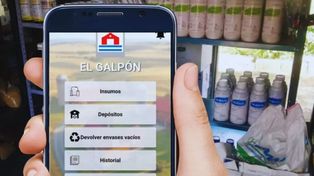 Para la organización de la información que maneja el sistema, se contemplan tres variables principales: insumos, depósitos y movimientos.