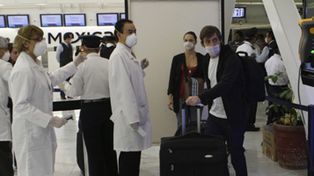La OMS advierte que la gripe porcina amenaza a toda la humanidad