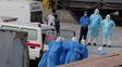 Hantavirus: el panorama en Santa Fe y cuál es la cepa que genera un alerta internacional