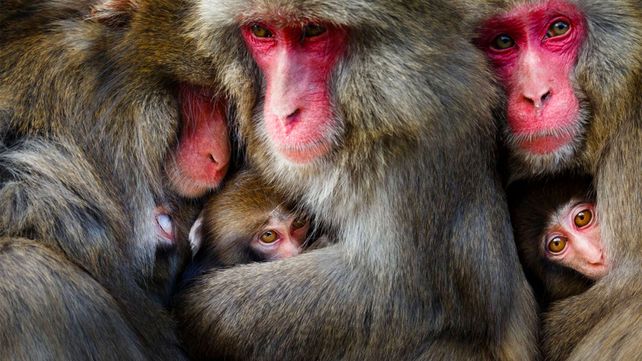 Las imágenes ganadoras del concurso de fotografía de viaje 2018 de National Geographic