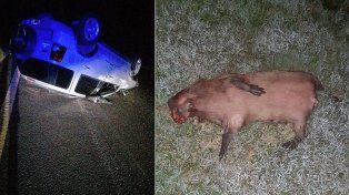Camioneta volcó tras chocar un carpincho en la autovía 18