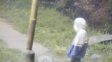 Vandalismo en inmediaciones del Parque Garay: captaron a un ladrón que intentó robar una luminaria