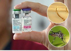 Dengue: prevención frente a una amenaza global en expansión