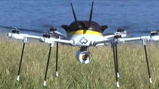 Prueban drones para entrega de correspondencia en Estados Unidos
