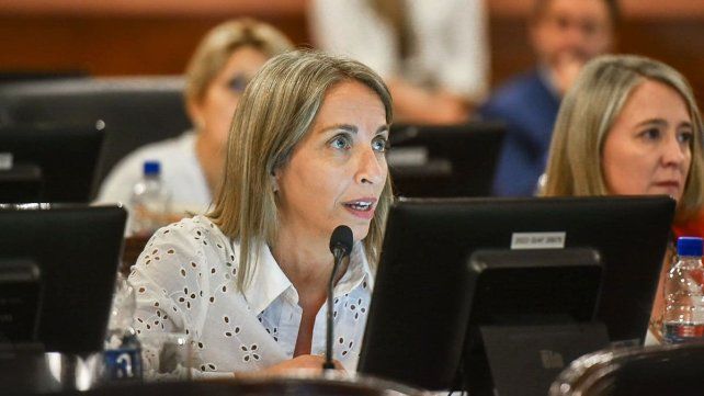 La reforma previsional llegó a Diputados con cruces por los tiempos y el alcance del debate.