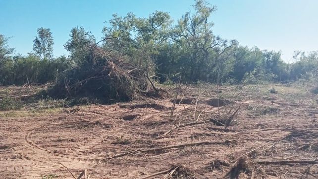 Hay dos entrerrianos mencionados entre los propietarios de campos investigados por la Justicia Federal por los incendios en el Delta