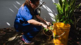Agentes de ambas áreas empezaron a visitar cada uno de los domicilios comprendidos en un radio de nueve manzanas alrededor de donde vive la persona diagnosticada.