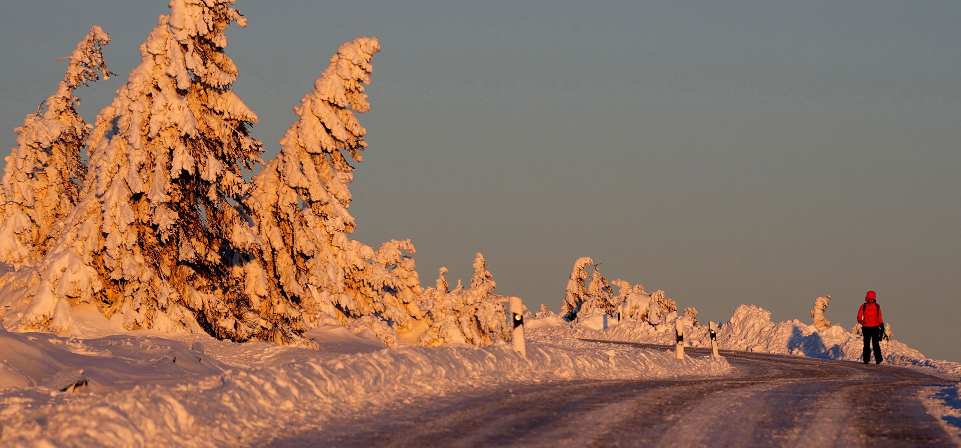 Un excursionista pasa junto a árboles cubiertos de nieve y hielo mientras el sol sale en la cima del 'Brocken', de 1.142 metros (3.743 pies) de altura, en el norte de Alemania, en las montañas Harz, cerca de Schierke, Alemania, el lunes 13 de enero de 2025. (Foto AP/Matthias Schrader) Un excursionista pasa junto a árboles cubiertos de nieve y hielo mientras el sol sale en la cima del 'Brocken', de 1.142 metros (3.743 pies) de altura, en el norte de Alemania, en las montañas Harz, cerca de Schierke, Alemania, el lunes 13 de enero de 2025. (Foto AP/Matthias Schrader)