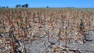 La Niña: Aseguran que es inminente el impacto del fenómeno