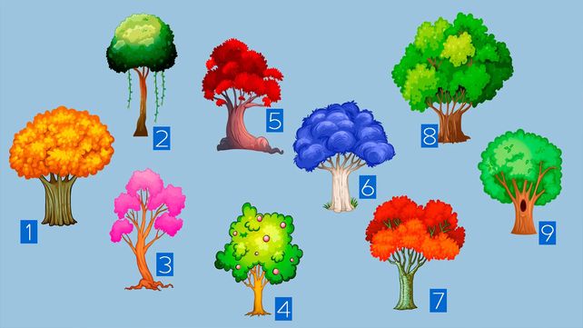 Elegí un árbol y conocé tu destino para 2018