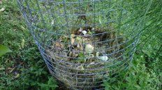 Compostera. Reutilizar la basura orgánica redunda en múltiples beneficios. Compostera. Reutilizar la basura orgánica redunda en múltiples beneficios.