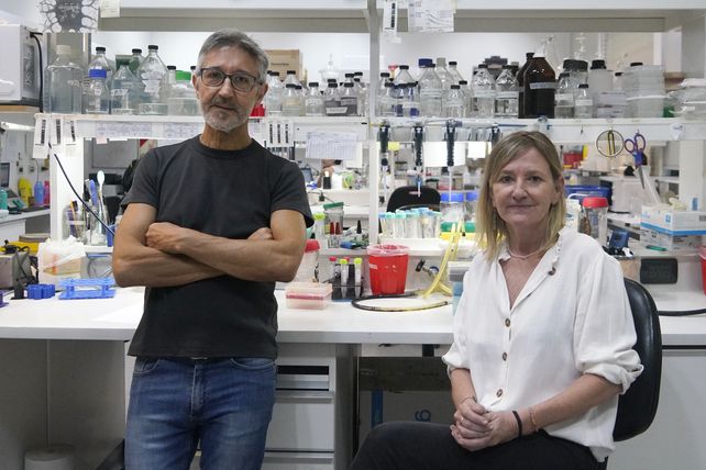 Hugo es salteño y Claudia de Sastre, ambos se formaron en Rosario e hicieron postgrados en distintos países del mundo. 