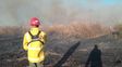 Hay 20 personas de Bomberos de Victoria, brigadistas forestales de La Paz y Zapadores de Paraná combatiendo incendios en la zona del puente Victoria - Rosario Hay 20 personas de Bomberos de Victoria, brigadistas forestales de La Paz y Zapadores de Paraná combatiendo incendios en la zona del puente Victoria - Rosario