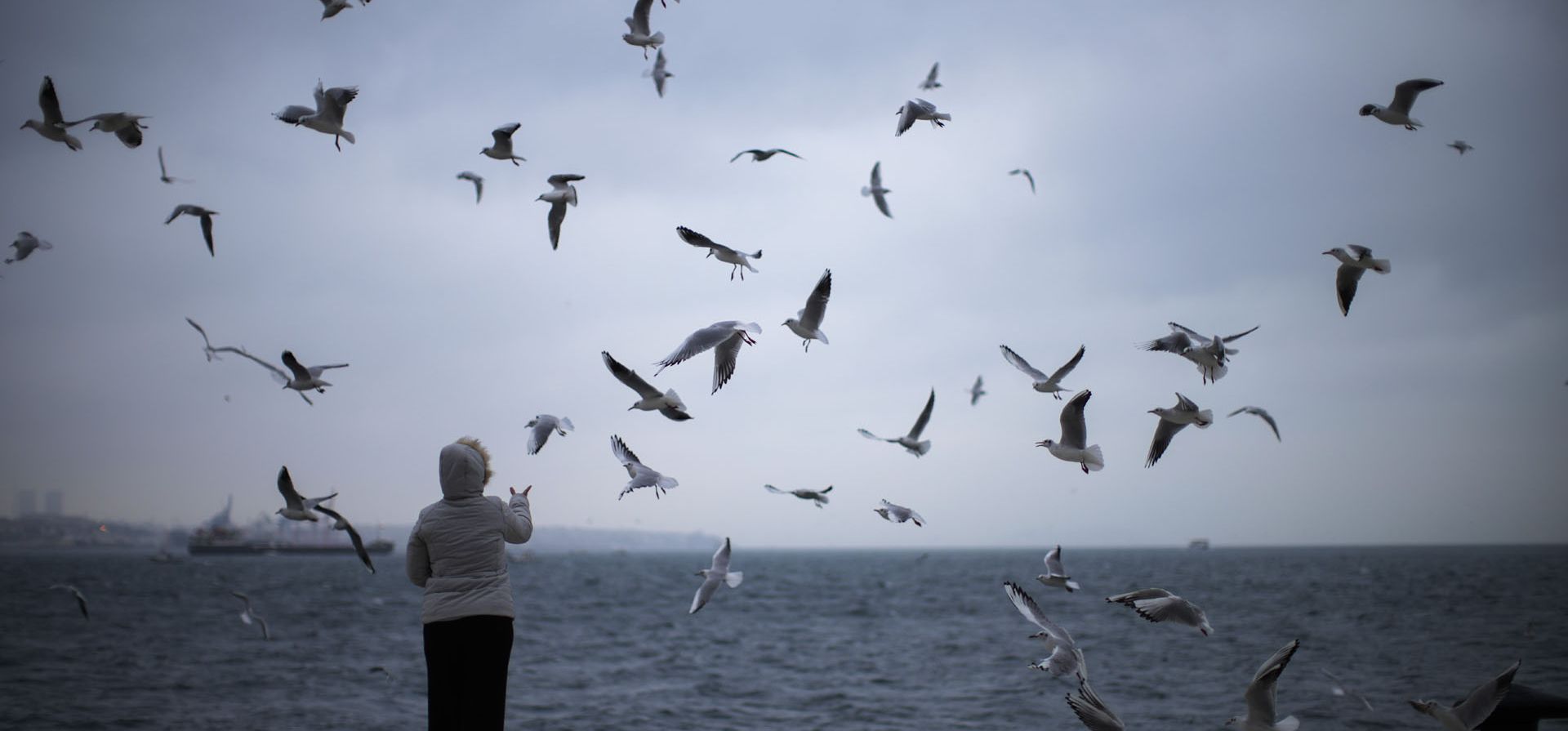 Una mujer alimenta a las gaviotas en el paseo de Galataport junto al Bósforo en Estambul, Turquía, el martes 11 de enero de 2022.