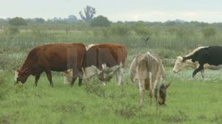 El Ipec ejecutará el censo agropecuario en la provincia