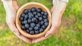 El arándano es reconocido por sus beneficios para la salud.&nbsp;