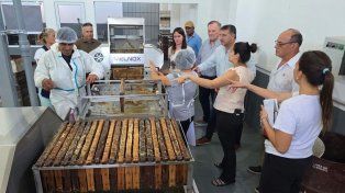 El Senador Michlig visitó la nueva sala de extracción de miel de la Cooperativa de Apicultores de Ambrosetti