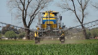 Hace tiempo los vecinos de pueblos fumigados denuncian afecciones por la aspersión de agroquímicos en cercanías de zonas pobladas. Hoy el estudio del Instituto de Salud Socioambiental de la Facultad de Medicina de la Universidad Nacional de Rosario arroja luz sobre el asunto.