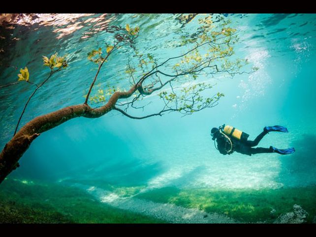 Las fotografías premiadas de National Geographic