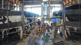 Tamberos advierten sobre la caída de la rentabilidad en el sector